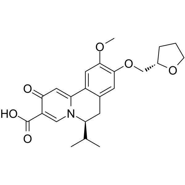 HBV-IN-24
